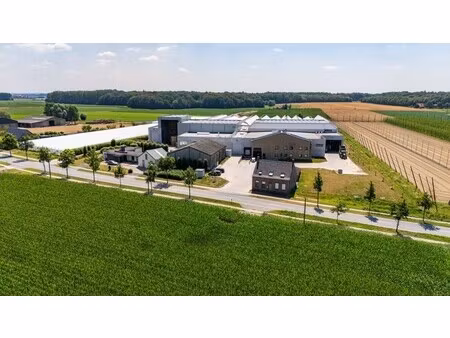 commercieel te koop in poperinge