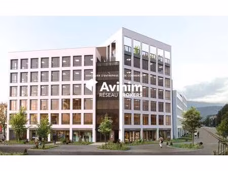 location commerce echirolles 38130 254m² à 527m²