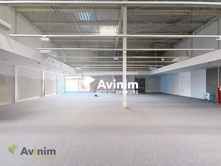location commerce epinal 88000 638m²