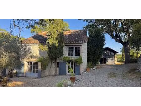 propriété avec piscine et jardin touffailles (82)