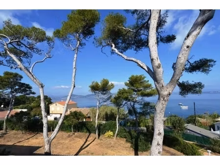 annonce maison à louer