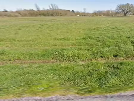 vente terrain 2537 m² à saint-savin (33920)  47 040 €