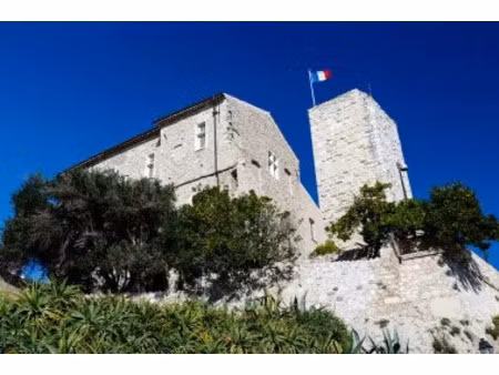 location locaux professionnels 0 pièces 300 m² à antibes (06600)  6 600 €