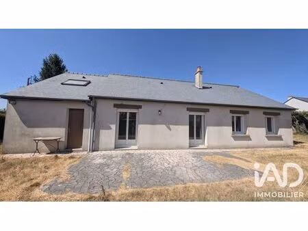 maison à neuillé-pont-pierre (37360)