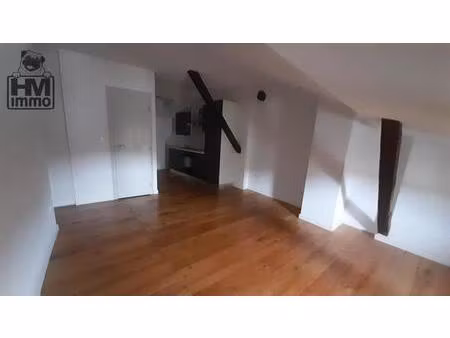 appartement type 2 29.15 m² habitable (50 m² au sol)