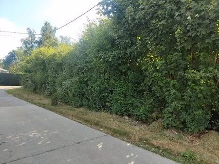 terrain à vendre de 2226 m² à léglise (vbe50798)