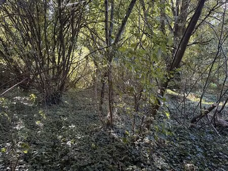 terrain à vendre de 1500 m² à baugnies (vbe50775)