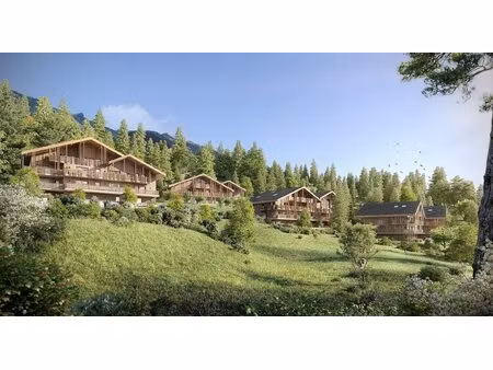 achat : appartement (74340)