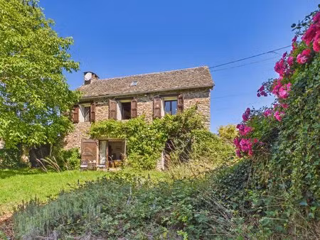 charmante maison en pierre à proximité de lescure-jaoul