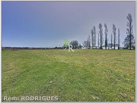 terrain constructible