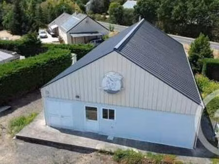 vente bureaux et commerces à loireauxence (44370) : à vendre / 168m² loireauxence