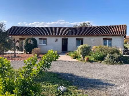 gaillac (81600)