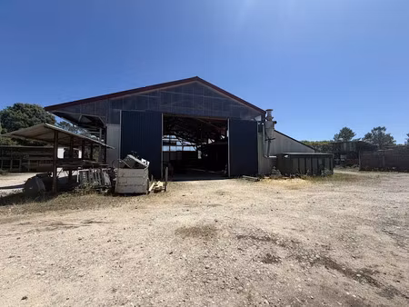 vente locaux professionnels 0 pièces 800 m² à pontonx-sur-l'adour (40465)  525 000 €