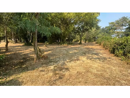 achat terrain 2 500m²