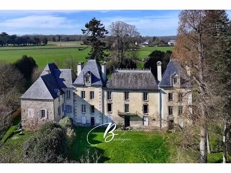 a vendre élégant château proche de la rance et de dinan