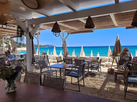 vente locaux professionnels 0 pièces 80 m² à le lavandou (83980)  174 000 €