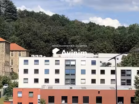 location bureaux brignais 69530 70m² à 202m²