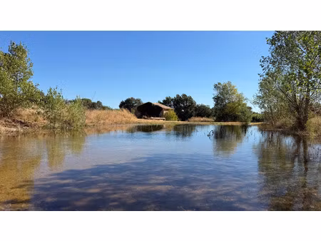 vente maison 12929 m² le pouget (34230)