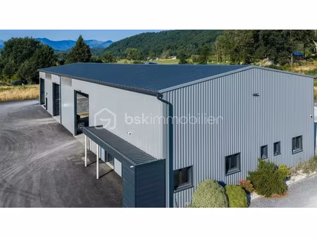 vente locaux professionnels à tarbes (65000)  900 000 €
