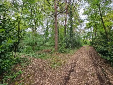 grond te koop in hechtel-eksel