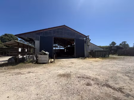 vente commerce 800 m² pontonx-sur-l’adour (40465)