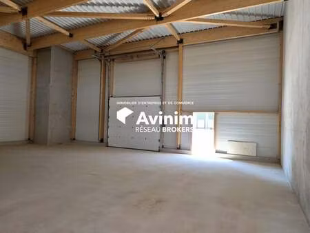 vente entrepôt montpellier 34070 290m²