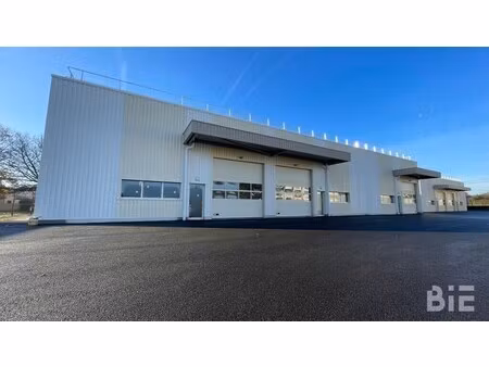 vente local d’activités blanquefort 33290 455m² à 1320m²