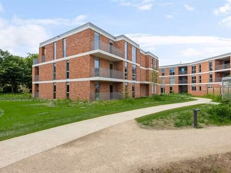 appartement à louer à balen € 850 (lqlzf) | zimmo
