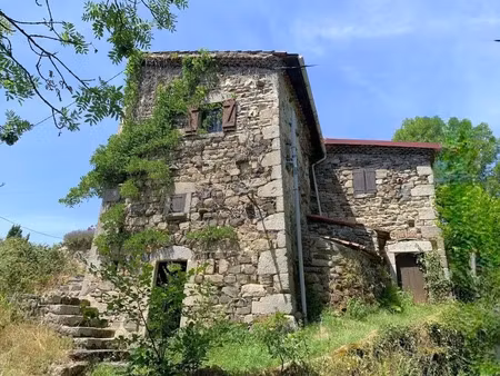 vente maison 11 pièces 315 m² à saint-dier-d'auvergne (63520)  385 000 €