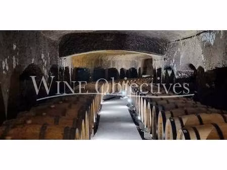 vignoble indre-et-loire (37)