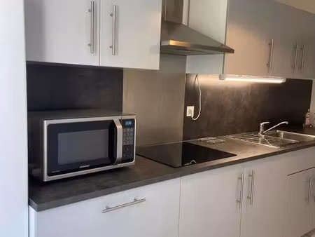 location appartement 3 pièces 70 m² à villeurbanne (69100)