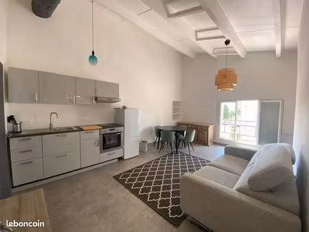 appartement meublé style maison de ville plein centre