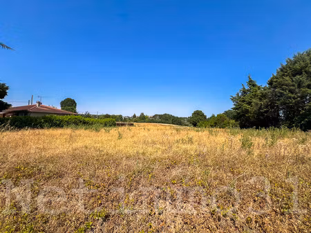 grand terrain constructible