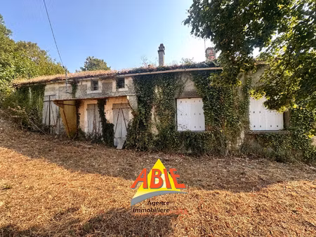vente maison 5 pièces 110 m² xanton-chassenon (85240)