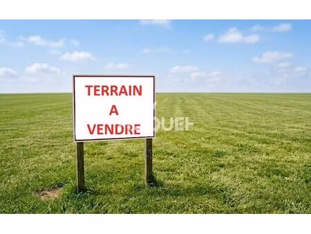 terrain