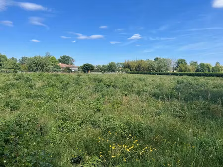 vente terrain 4200 m² à saint-pierre-d'eyraud (24130)  52 000 €