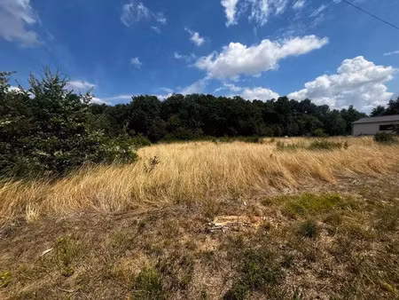 vente terrain 12447 m² à chaunac (17130)  50 000 €