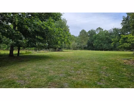 vente terrain 1500 m² à saint-savin (33920)  55 000 €