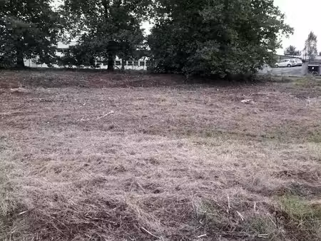 vente terrain 731 m² à forbach (57600)  58 480 €