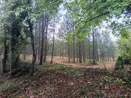 vente terrain 400 m² à mollans-sur-ouvèze (26170)  89 000 €