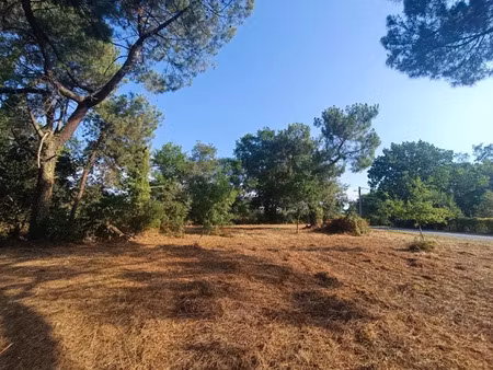 vente terrain 950 m² à martillac (33650)  199 000 €
