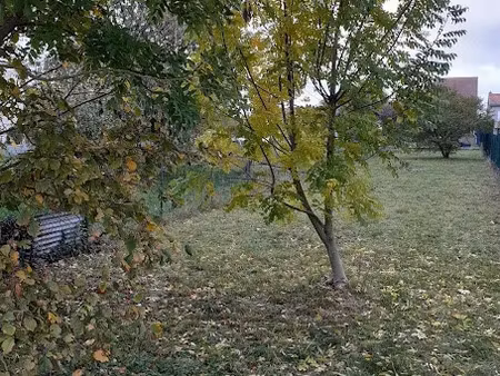 vente terrain à batir 395 m² à witry-lès-reims (51420)  85 500 €