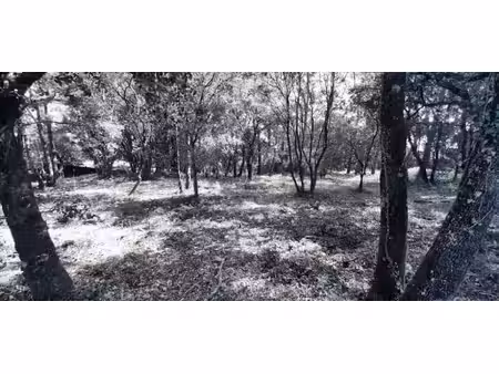 vente terrain 732 m² à le thoronet (83340)  169 000 €