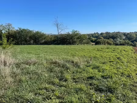 vente terrain 419 m² à martillac (33650)  161 000 €