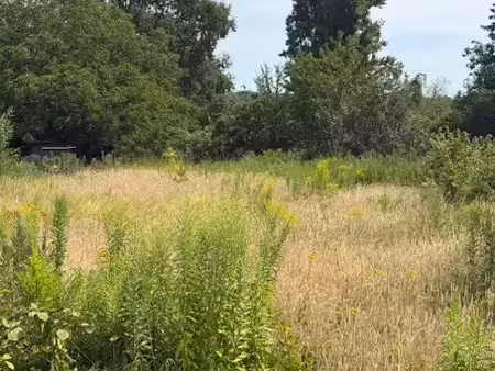 vente terrain 1304 m² à milly-la-forêt (91490)  188 000 €