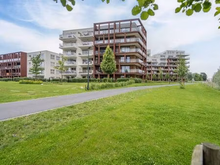appartement à louer à harelbeke € 1.045 (lqmry) - dewaele - kortrijk | zimmo