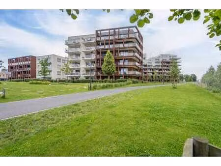 bel appartement à louer avec vue sur la lys à harelbeke