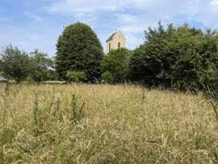 vente terrain à surrain (14710) : à vendre / 1008m² surrain
