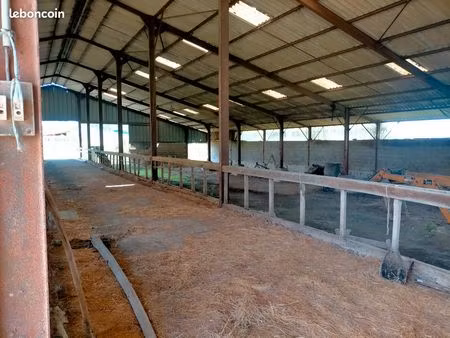 hangar