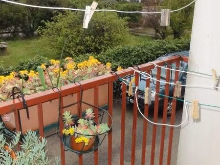 appartement 1 pièce 37 m²